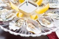 Fresh oysters in a white plate with ice and lemon Royalty Free Stock Photo