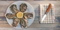 Fresh oysters white plate and lemon on wooden desk