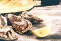 Fresh oysters with white wine bottle. Food background