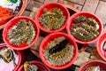 Fresh pacific sea cucumber sell in the fresh market