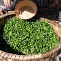 Fresh padron peppers on basket at farmers market Royalty Free Stock Photo