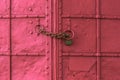 Fresh painted old riveted door Royalty Free Stock Photo