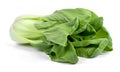 Fresh pak choi cabbage or chinese cabbage, isolated