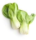 Fresh pak choi cabbage. Royalty Free Stock Photo