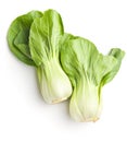 Fresh pak choi cabbage.