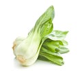 Fresh pak choi cabbage. Royalty Free Stock Photo