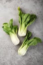 Fresh pak choi cabbage on  grey background Royalty Free Stock Photo