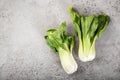 Fresh pak choi cabbage on  grey background Royalty Free Stock Photo