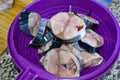 Fresh palamut fish slices