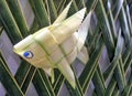 Fresh Palm leaf fish weaving