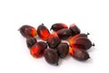 Fresh palm oil seed