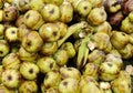 Fresh palmyra palm or toddy palm fruit at market.