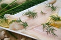 Fresh pangasius fish Royalty Free Stock Photo