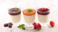 fresh panna cotta Royalty Free Stock Photo
