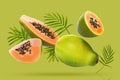 Fresh papaya fruits and leaves falling on bright green background Royalty Free Stock Photo
