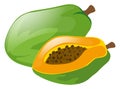 Fresh papaya on white background