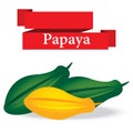 Fresh papaya on white background vector