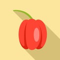 Fresh paprika icon, flat style