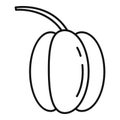 Fresh paprika icon, outline style