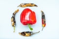 Fresh paprika among rotten peppers with mold on a gray background. concept of old age and youth