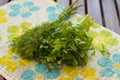 Fresh parcely and dill Royalty Free Stock Photo