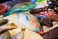 Fresh parrot fish on seafood market Royalty Free Stock Photo