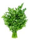 Fresh parsley