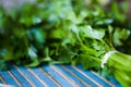 Fresh parsley Royalty Free Stock Photo