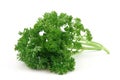 Fresh parsley Royalty Free Stock Photo