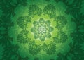 The fresh parsley abstract background