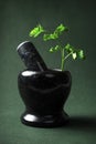 Fresh parsley in a black marble mortar with pestle Royalty Free Stock Photo