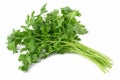 Fresh parsley bunch