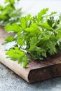 Fresh parsley Royalty Free Stock Photo