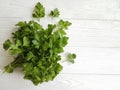 fresh parsley bunches seasoning on a white wooden background