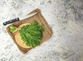 Fresh parsley, cilantro or coriander leaves in bunch. White kitchen table background, top view Royalty Free Stock Photo