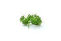 Fresh Parsley isolated on white background - Close-up and selective focus Royalty Free Stock Photo