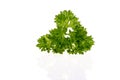 Fresh parsley leaf isolated Royalty Free Stock Photo