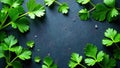 Fresh parsley leaves arranged on dark surface forming a frame for culinary or recipe content. Generative AI Royalty Free Stock Photo