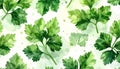 Fresh Parsley Leaves Pattern on a Textured Background Royalty Free Stock Photo