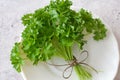 Fresh Parsley / Petroselinum crispum