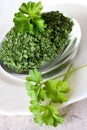 Fresh Parsley / Petroselinum crispum Royalty Free Stock Photo