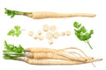 fresh parsley root isolated on white background. top view Royalty Free Stock Photo