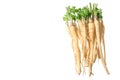 fresh parsley root isolated on white background. top view Royalty Free Stock Photo