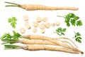 Fresh parsley root isolated on white background. top view