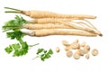 fresh parsley root isolated on white background. top view Royalty Free Stock Photo