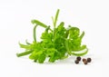 Fresh parsley sprigs Royalty Free Stock Photo