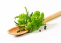 Fresh parsley sprigs Royalty Free Stock Photo