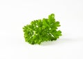 Fresh parsley sprigs Royalty Free Stock Photo