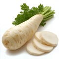Fresh parsnip root with green tops