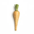 A fresh parsnip stands upright against a clean white background, showcasing its earthy tones and texture